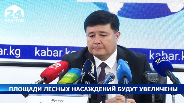Площади лесных насаждений будут увеличены в два раза смотреть онлайн