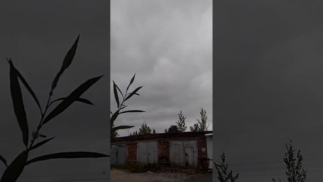 голуби кз. продолжаем тренировку! Взлёт - посадка на круг! 👌 смотреть онлайн