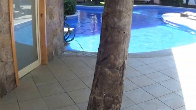 Part 3 Majestic Colonial Resort Review Punta Cana Club Adult Only Pool vlog смотреть онлайн