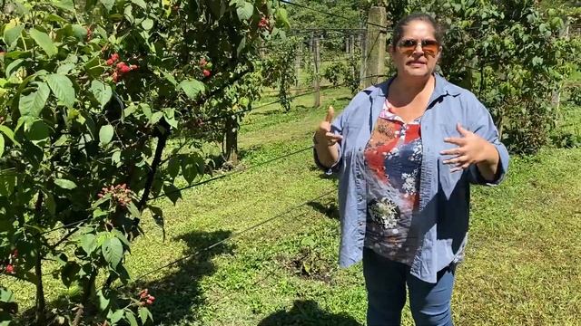 La mora enana смотреть онлайн