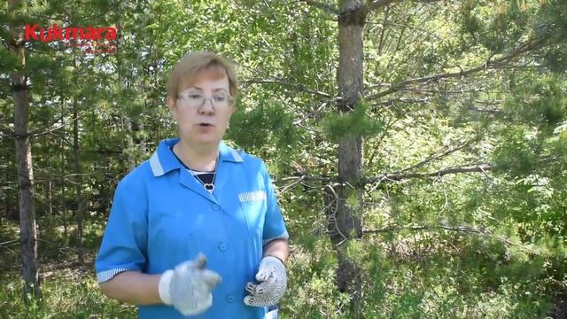 #ProПосуду. №2. КАК ПРАВИЛЬНО прокалить чугунный казан Kukmara? смотреть онлайн