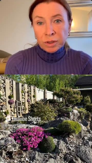 Альпийские стенки. смотреть онлайн