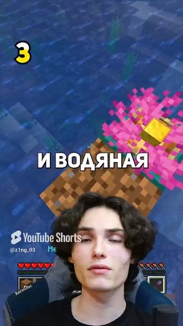 146 СЕКРЕТОВ В МАЙНКРАФТЕ #minecraft #майнкрафт #секретымайнкрафт (4) смотреть онлайн