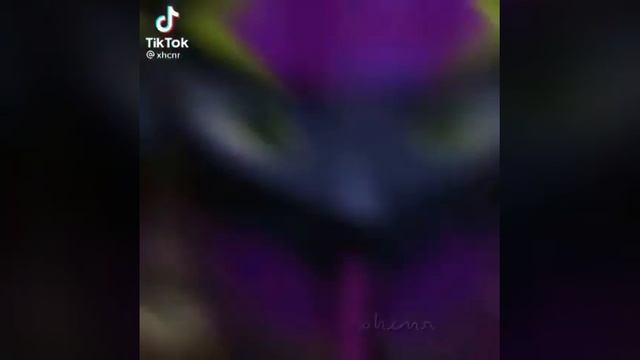 Леди бак и Супер кот клип "Кубик в коле 🥃" смотреть онлайн