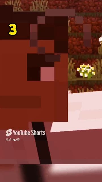 146 СЕКРЕТОВ В МАЙНКРАФТЕ #minecraft #майнкрафт #секретымайнкрафт (13) смотреть онлайн