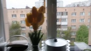 VLOG Шопинг с Викой. Выселили Назара с комнаты