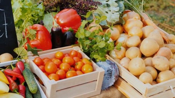 Техноэкспорт