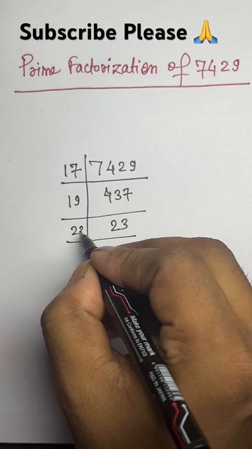 Prime Factorization of 7429 #math смотреть онлайн