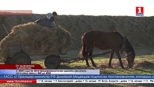 Впервые крымские аграрии получили сертификаты в племенном регистре смотреть онлайн