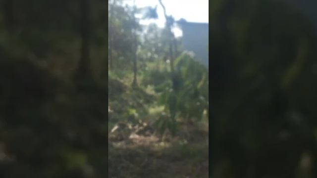 Pemukiman Kampung lek go смотреть онлайн