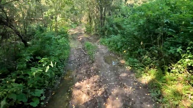 Вокруг шараповского карьера (часть круга). смотреть онлайн