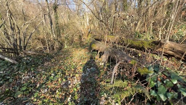 Участок 4.6 сотки смотреть онлайн