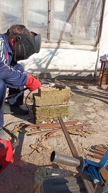 Из пустого и грязного огорода в свой бизнес за год #strawberry #огород #клубника #garden смотреть онлайн