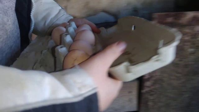 Збір яєць від наших курочок! смотреть онлайн
