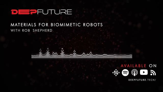 Materials for Biomimetic Robots – Rob Shepherd смотреть онлайн