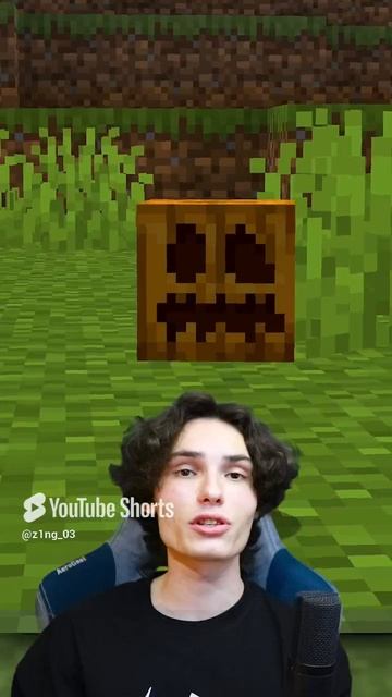 75 СЕКРЕТОВ МАЙНКРАФТ #minecraft #майнкрафт #секретымайнкрафт (18) смотреть онлайн