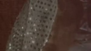 Алла Пугачева   Белая Дверь  AllaLow,480x360,Webm