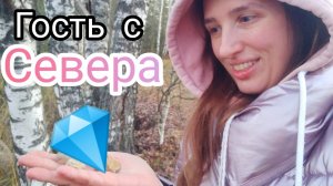 Камни на полях Подмосковья: кремни с окаменелостями, кварцы, гости с Севера. Осенний замёрзший лес