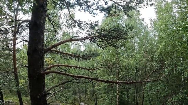 Поход в Таганай часть 1 смотреть онлайн