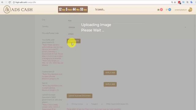 ADS CASH. Kак верифицировать аккаунт инвестора смотреть онлайн
