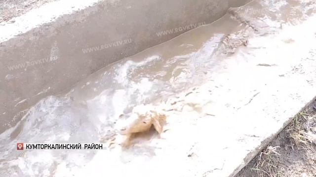 Представители Буйнакского аграрного колледжа посетили агрофирму «Согратль» смотреть онлайн