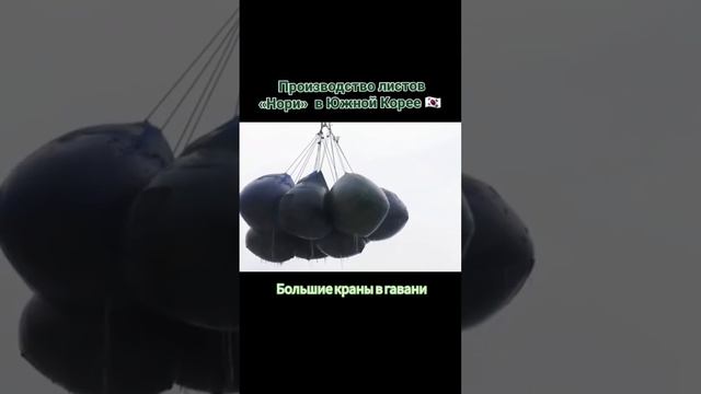 Чипсы Нори - производство моего любимого снека ♂️ смотреть онлайн