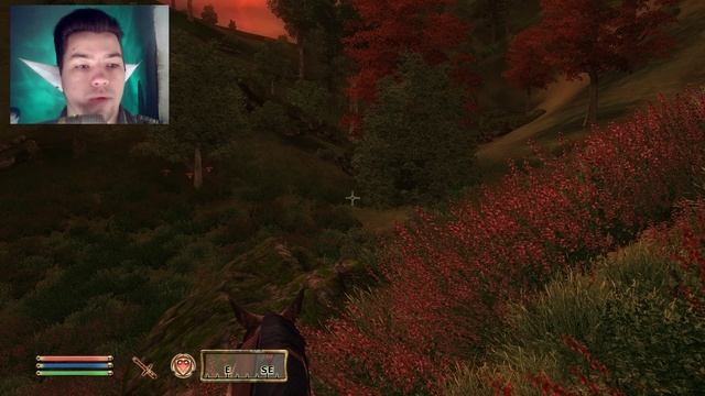 The Elder Scrolls IV:Oblivion №100 Конь злится на меня смотреть онлайн