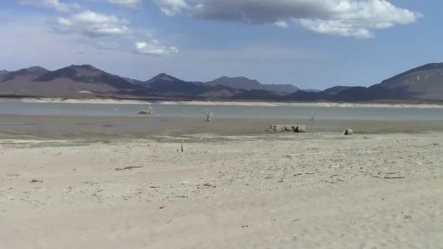 Presa de jalapa seca foto y galería beny смотреть онлайн