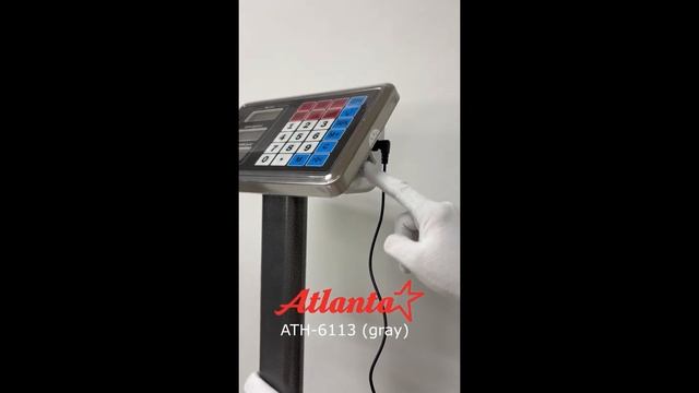 Весы торговые напольные Atlanta ATH-6113 (gray) смотреть онлайн