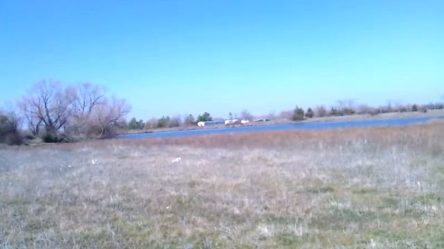 HORSE 024 смотреть онлайн