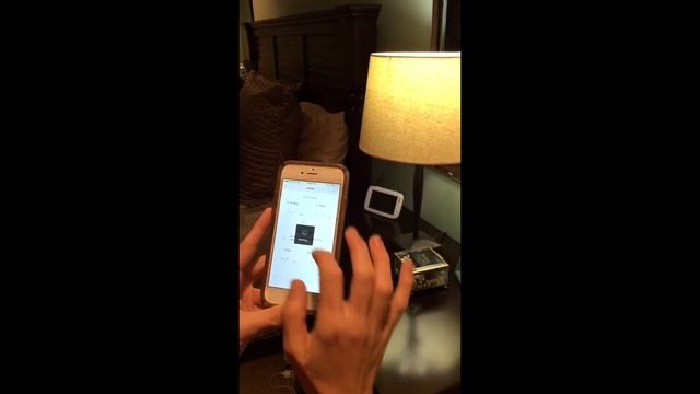 TP Link Bulb смотреть онлайн