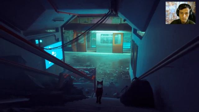 STRAY➤Сила солнечного света и дружбы(ФИНАЛ) смотреть онлайн
