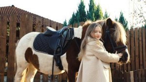 Сильвия (песня Сергей и Татьяна Никитины) - Пони