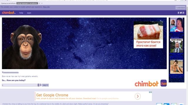 БОТЫ НАКУРИЛИСЬ (Смотреть всем!!!!!!!!) смотреть онлайн