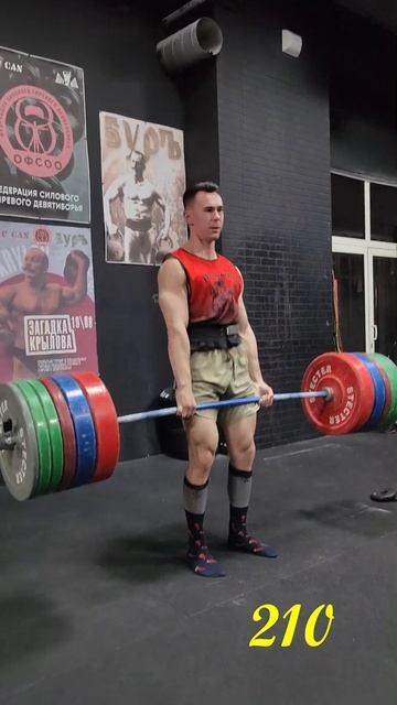 Ученик Шреддера разбушевался! Тяга 210 кг на количество #shortvideo #powerlifting смотреть онлайн