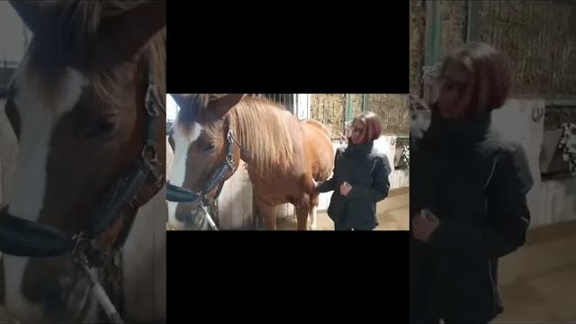 Кск Воскресенск смотреть онлайн