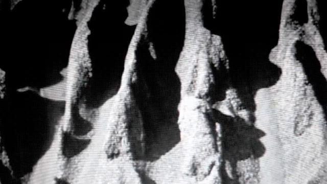 Peine Perdue - "Segment" (Official video) смотреть онлайн