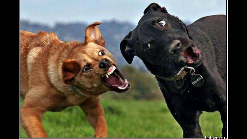 Так исторически сложилось. смотреть онлайн