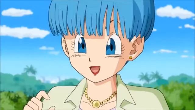 Vegeta Vs Bulma