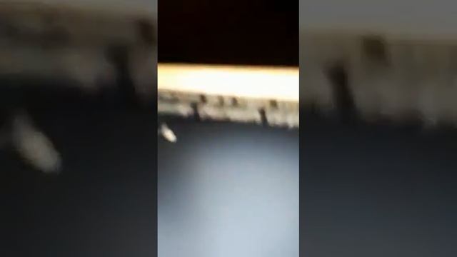 как хакнуть Пентагон 😄😄🤣🤣 смотреть онлайн