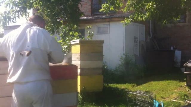 Как быстро снять магазины с улья смотреть онлайн