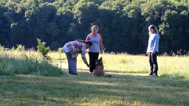 Тренировочный лагерь 2017 смотреть онлайн