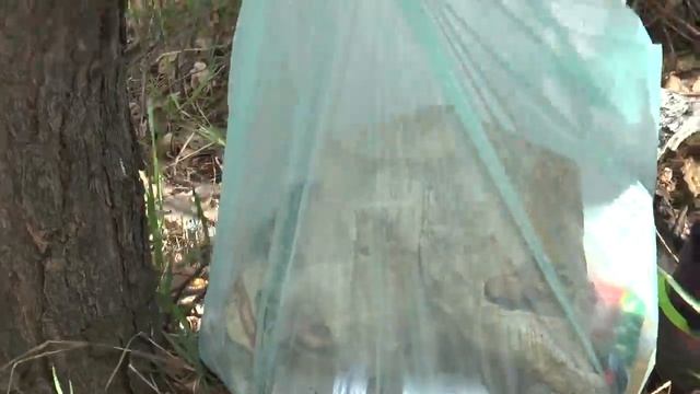 ВН РУС HD 13 05 16 смотреть онлайн