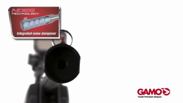 Best Gamo Air Rifle 2021 - 5 Best Pellet Rifle for Hunting смотреть онлайн