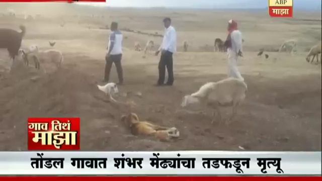 Gaon Tithe Majha 7pm segment 25 06 2016 смотреть онлайн
