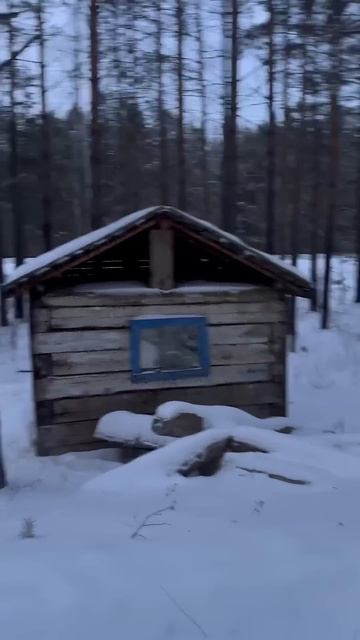 Лайфхак как выжить в лесу зимой смотреть онлайн