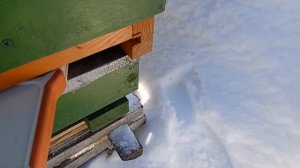 Слабонервным не смотреть! Реалии расхода при зимовке пчёл на сетчатом дне. Расход корма за февраль.