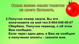 Ютуб закрыли. Как сейчас заказать семена томатов Шадрина. Текст под роликом.