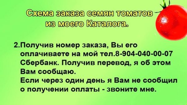 Ютуб закрыли. Как сейчас заказать семена томатов Шадрина. Текст под роликом.