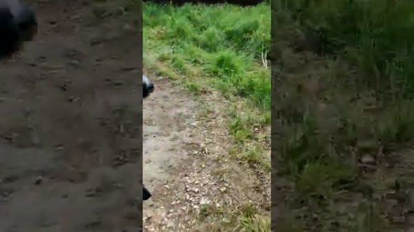 НАУЧНЫЙ ЭКСПЕРИМЕНТ!!! ЧТО БУДЕТ ЕСЛИ СМЕШАТЬ FRESH BAR COLA LEMON И MENTOS!?